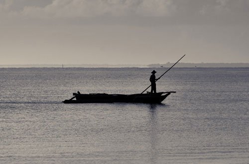 metsaperture Zanzibar balıkçı