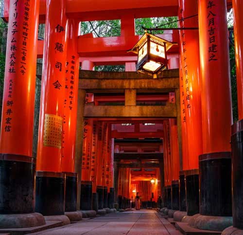 metsaperture fushimi inari temple red torii