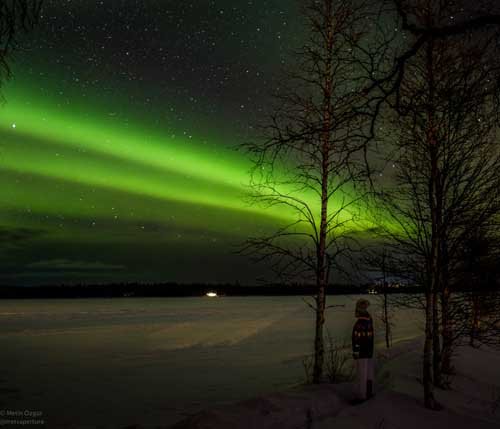 metsaperture aurora borealis roveniemi