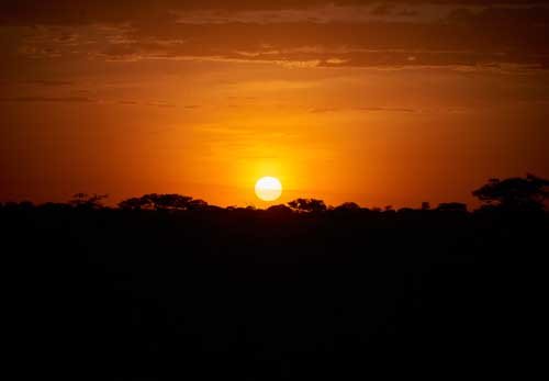 metsaperture Serengeti sunset