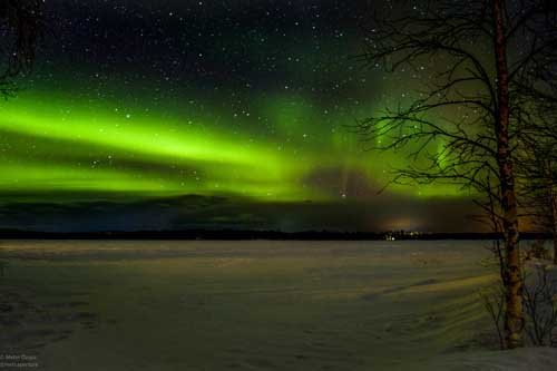 metsaperture rovaniemi aurora borealis
