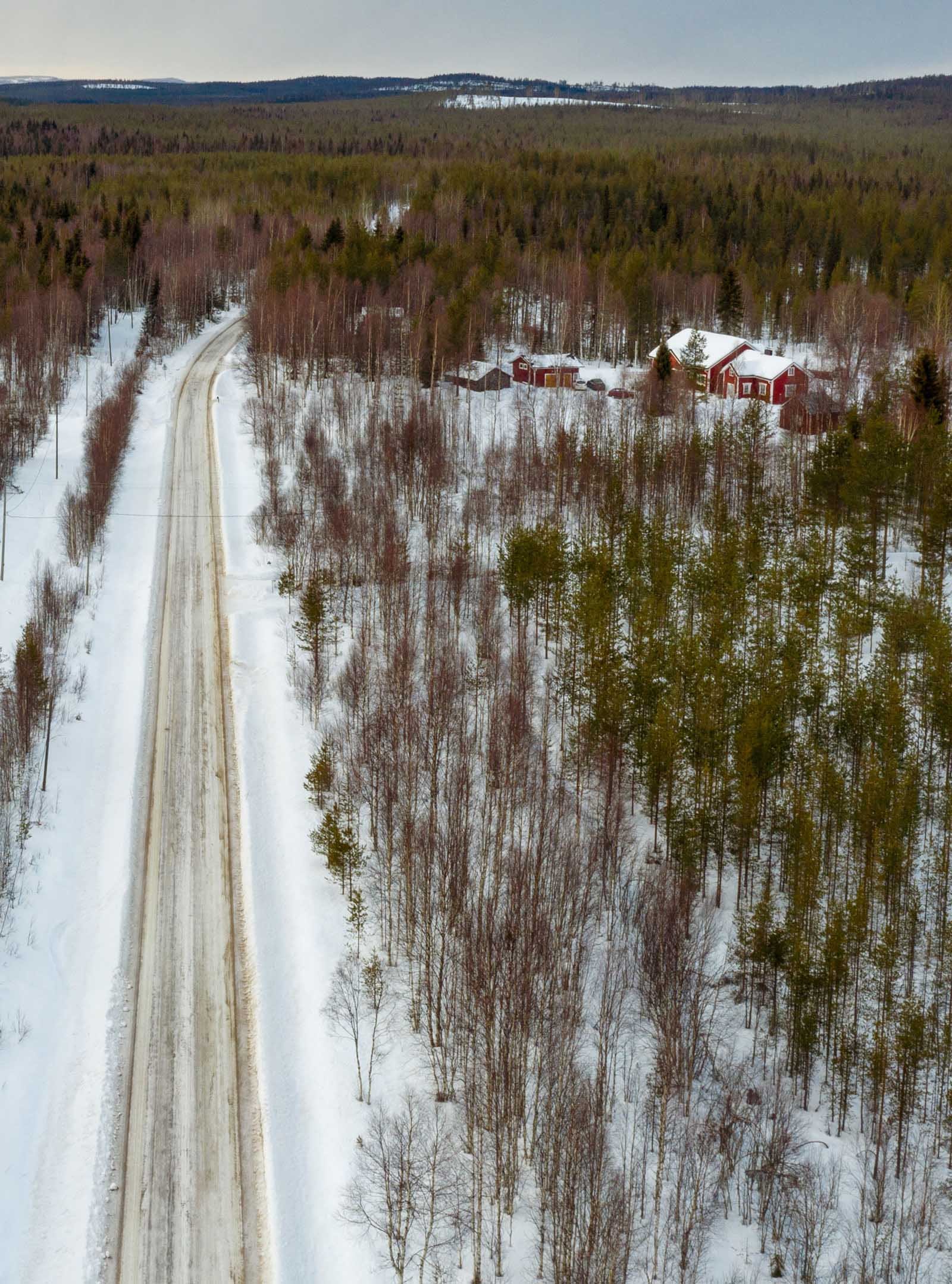 lapland road forest