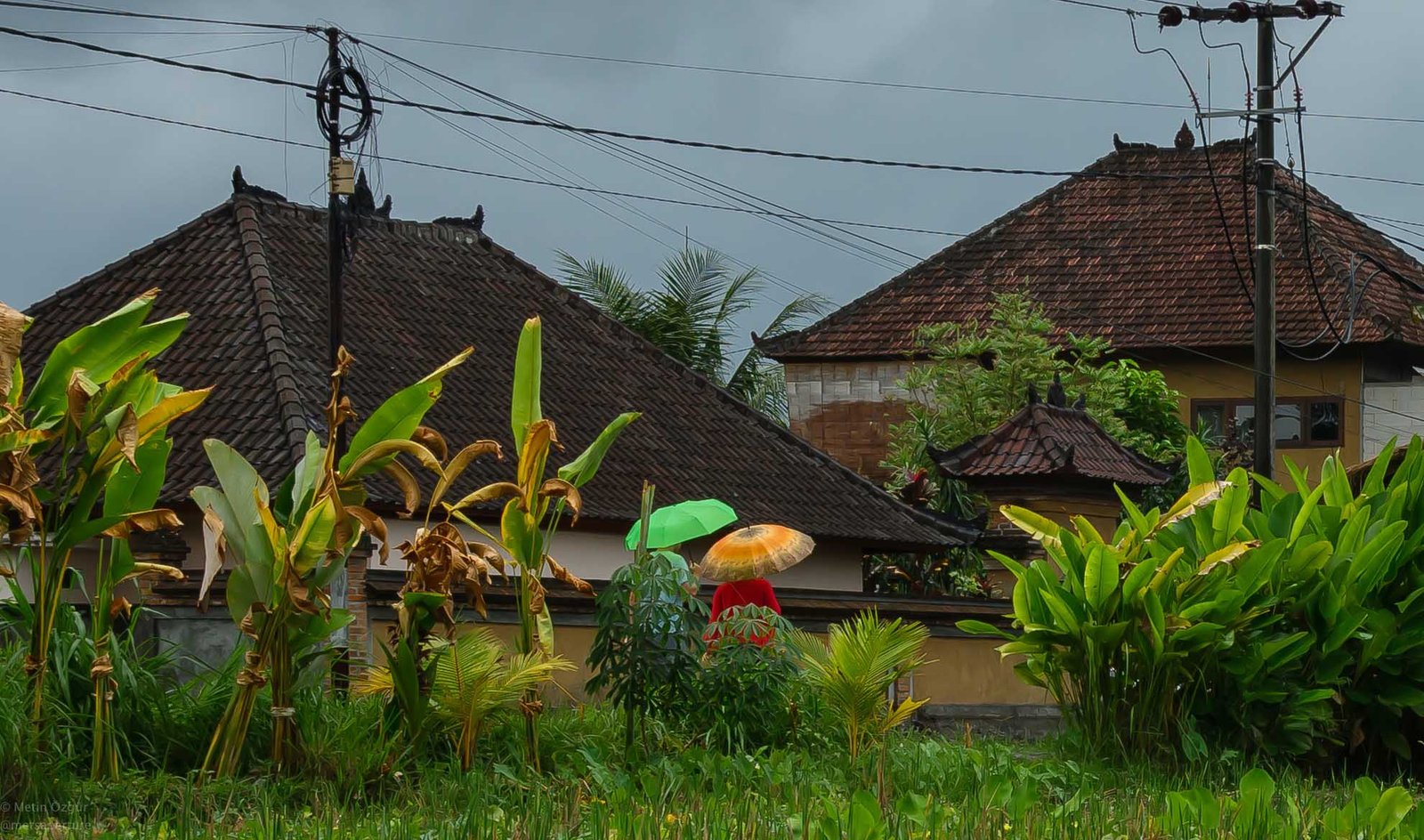 ubud bali