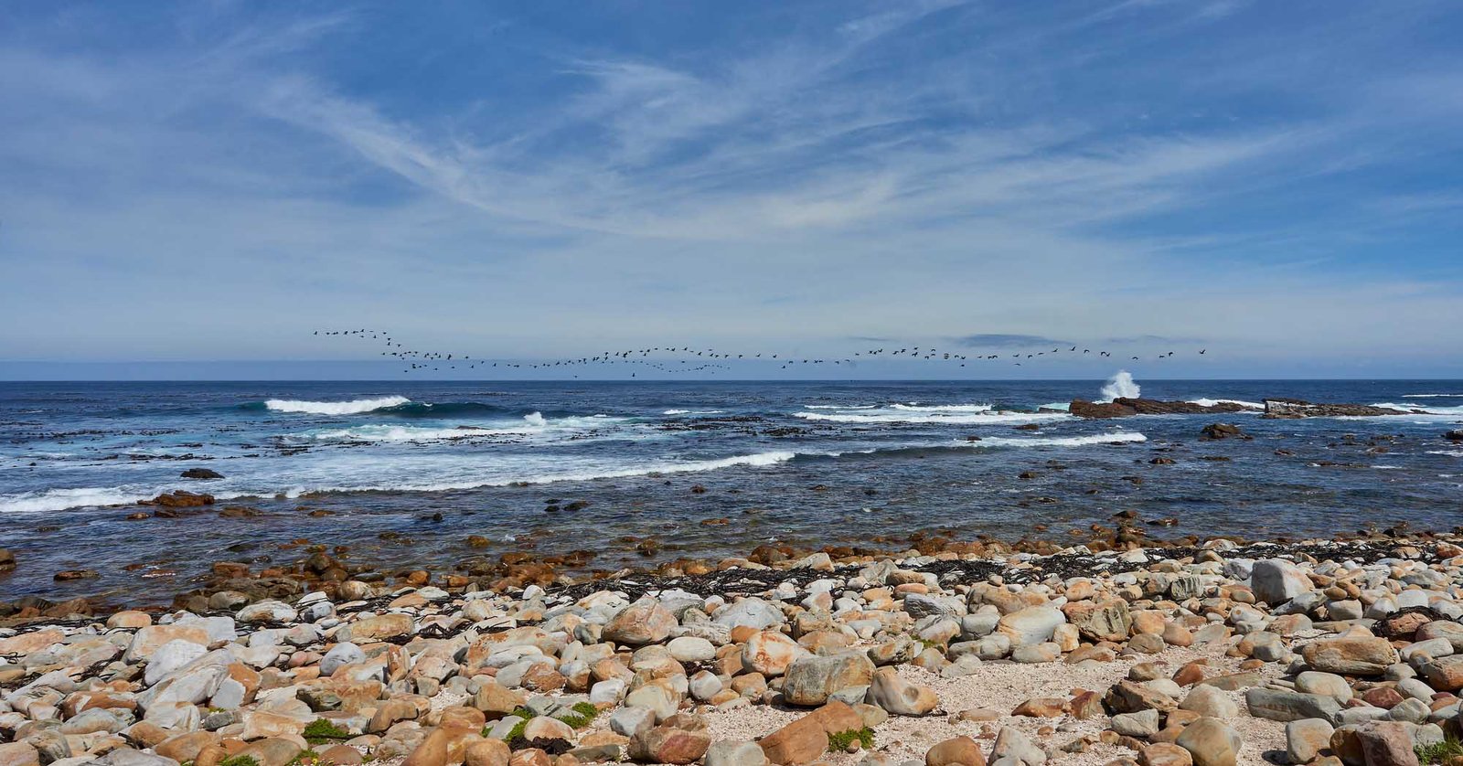 Cape of good hope