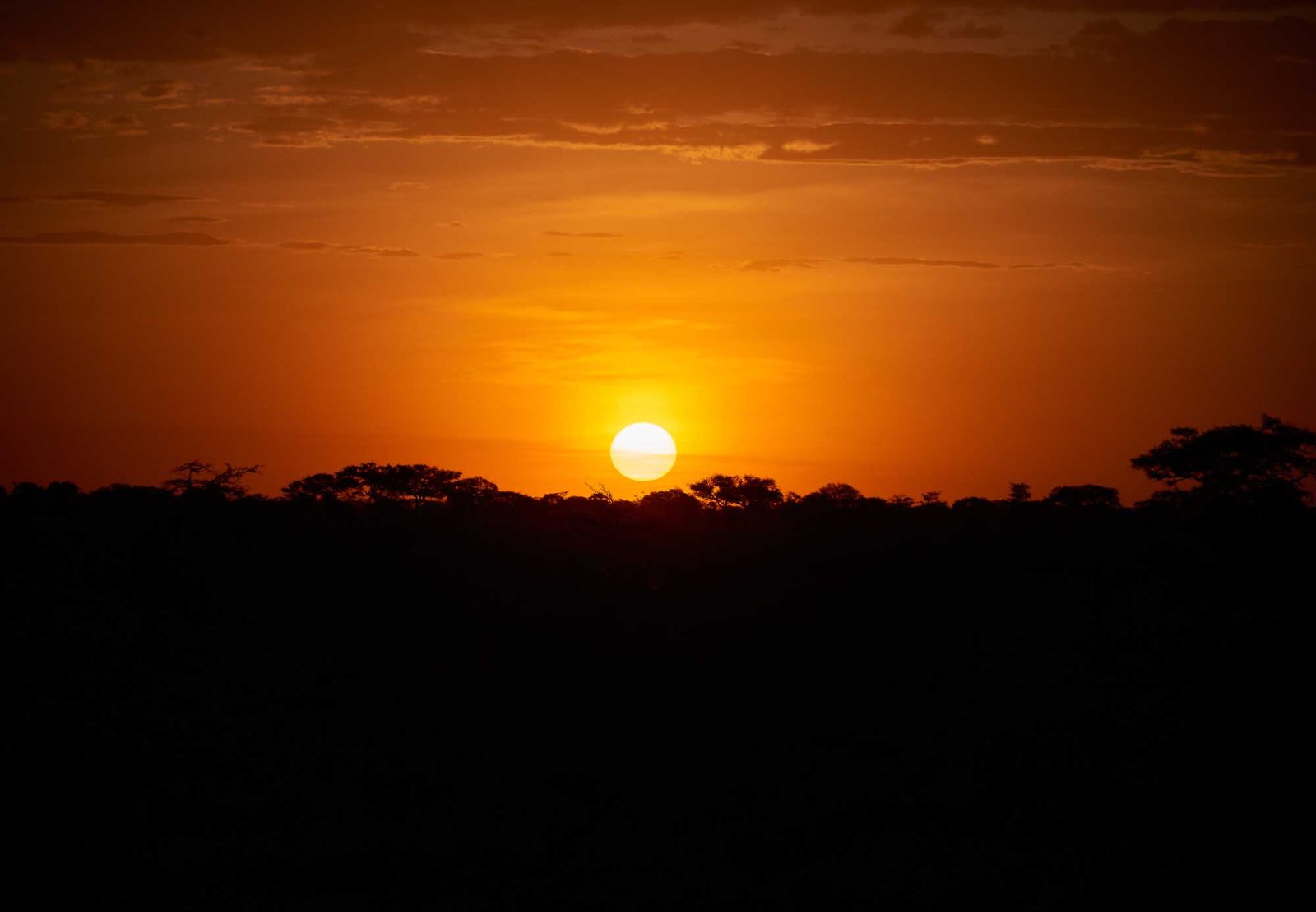 Serengeti sunset