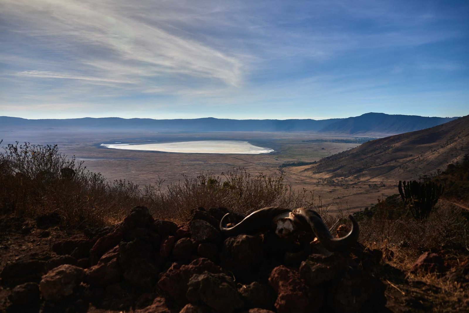 ngorongoro